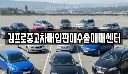 경상남도 의령군 의령읍 중고차매입 전문 김프로중고차매입판매수출매매센터