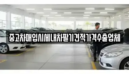 경상남도 의령군 의령읍 단기렌트카,중고차매입,중고차매매,중고차,렌트카,장기렌트카