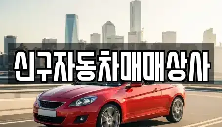 경상남도 진주시 금곡면 중고차 전문 신구자동차매매상사