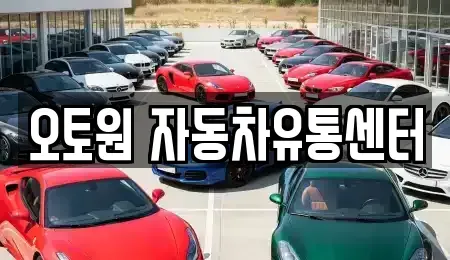 경상남도 진주시 장재동 중고차 전문 오토원 자동차유통센터