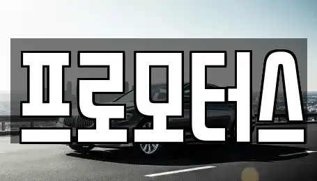 경상남도 진주시 장재동 중고차 전문 프로모터스