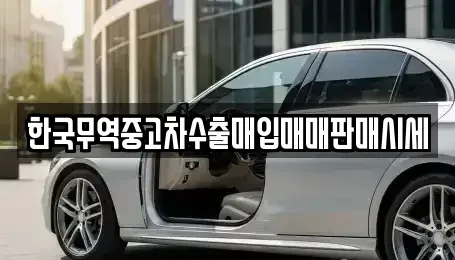 경상남도 창원시 마산합포구 성호동 중고차 전문 한국무역중고차수출매입매매판매시세