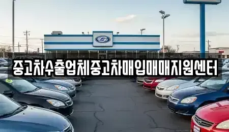 경상남도 창원시 마산합포구 예곡동 중고차 전문 중고차수출업체중고차매입매매지원센터