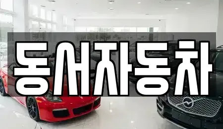 경상남도 창원시 마산합포구 창포동3가 중고차 전문 동서자동차