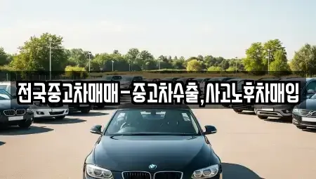 경상남도 창원시 마산합포구 창포동3가 중고차매입 전문 전국중고차매매-중고차수출,사고노후차매입