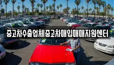 경상남도 창원시 마산합포구 평화동 중고차 전문 중고차수출업체중고차매입매매지원센터