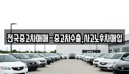 경상남도 창원시 마산합포구 평화동 중고차매입 전문 전국중고차매매-중고차수출,사고노후차매입