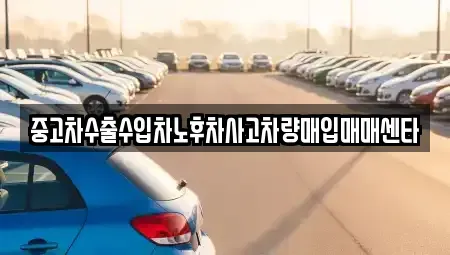 경상남도 창원시 마산회원구 양덕동 중고차매입 전문 중고차수출수입차노후차사고차량매입매매센타