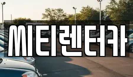 경상남도 창원시 성산구 가음동 렌트카 전문 씨티렌터카