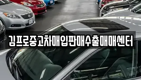 경상남도 창원시 성산구 가음동 중고차매입 전문 김프로중고차매입판매수출매매센터