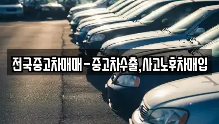 경상남도 창원시 성산구 가음동 중고차매입 전문 전국중고차매매-중고차수출,사고노후차매입