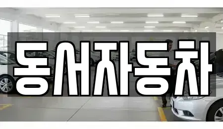 경상남도 창원시 성산구 대방동 중고차 전문 동서자동차