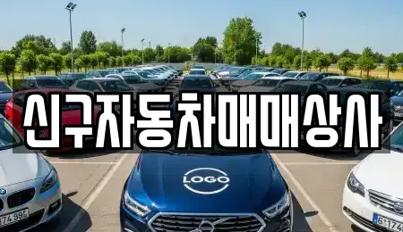 경상남도 창원시 성산구 대방동 중고차 전문 신구자동차매매상사