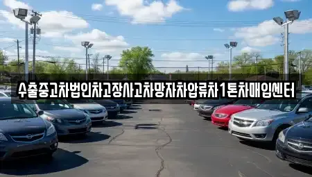 경상남도 창원시 성산구 대원동 중고차 전문 수출중고차법인차고장사고차망자차압류차1톤차매입센터