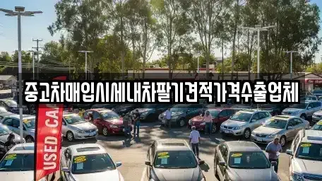 경상남도 창원시 성산구 대원동 중고차매입 전문 중고차매입시세내차팔기견적가격수출업체