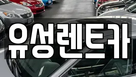 경상남도 창원시 성산구 렌트카 전문 유성렌트카