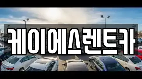 경상남도 창원시 성산구 상남동 렌트카 전문 케이에스렌트카