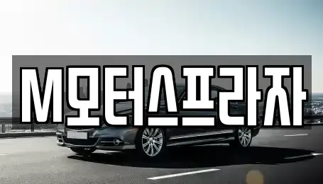경상남도 창원시 성산구 중고차 전문 M모터스프라자