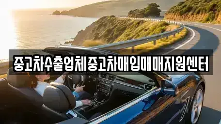 경상남도 창원시 성산구 중고차매입 전문 중고차수출업체중고차매입매매지원센터