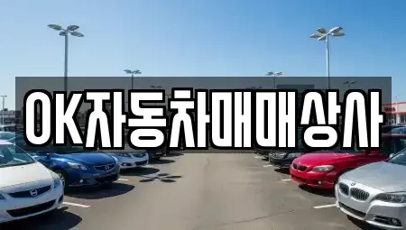 경상남도 하동군 하동읍 중고차매매 전문 OK자동차매매상사