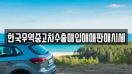 경상남도 하동군 하동읍 중고차매입 전문 한국무역중고차수출매입매매판매시세