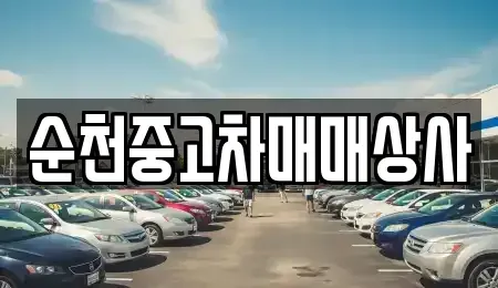 경상남도 함양군 백전면 중고차 전문 순천중고차매매상사