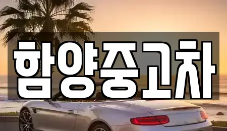 경상남도 함양군 중고차매매,단기렌트카,중고차매입,장기렌트카,중고차,렌트카