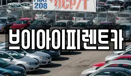 경상북도 경산시 대동 렌트카 전문 브이아이피렌트카