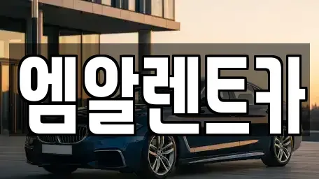 경상북도 경주시 건천읍 렌트카 전문 엠알렌트카