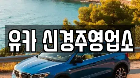 경상북도 경주시 건천읍 렌트카 전문 유카 신경주영업소
