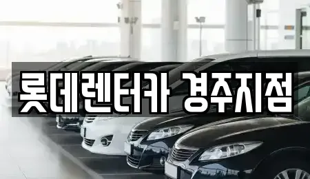 경상북도 경주시 건천읍 장기렌트카 전문 롯데렌터카 경주지점