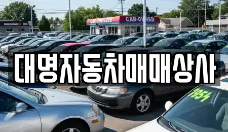 경상북도 경주시 건천읍 중고차 전문 대명자동차매매상사