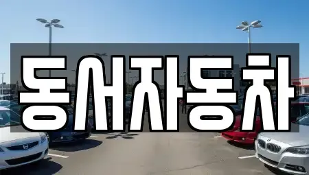 경상북도 경주시 동천동 중고차 전문 동서자동차