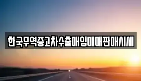 경상북도 경주시 동천동 중고차 전문 한국무역중고차수출매입매매판매시세