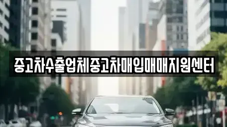 경상북도 경주시 동천동 중고차매입 전문 중고차수출업체중고차매입매매지원센터