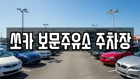 경상북도 경주시 천군동 렌트카 전문 쏘카 보문주유소 주차장