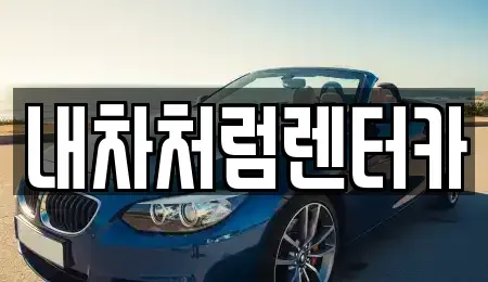 경상북도 고령군 성산면 렌트카 전문 내차처럼렌터카