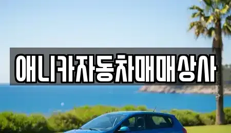 경상북도 김천시 남면 중고차매매 전문 애니카자동차매매상사