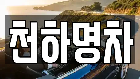 경상북도 김천시 남면 중고차매입 전문 천하명차