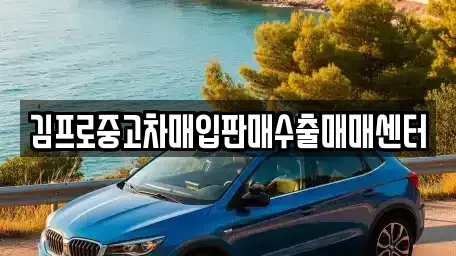 경상북도 상주시 성동동 중고차매입 전문 김프로중고차매입판매수출매매센터