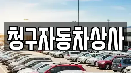 경상북도 상주시 화개동 중고차,렌트카,중고차매입,중고차매매,장기렌트카,단기렌트카