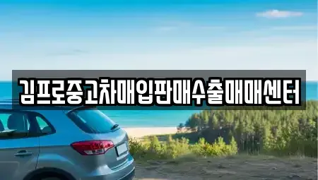 경상북도 상주시 화개동 중고차매입 전문 김프로중고차매입판매수출매매센터