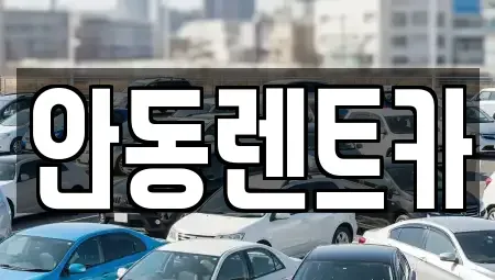경상북도 안동시 금곡동 렌트카 전문 안동렌트카