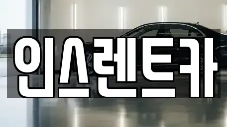 경상북도 안동시 금곡동 렌트카 전문 인스렌트카