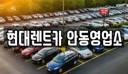 경상북도 안동시 금곡동 렌트카,단기렌트카,장기렌트카,중고차,중고차매매,중고차매입