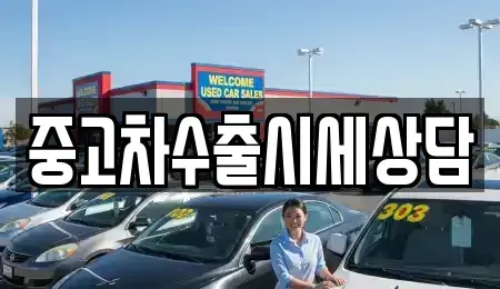 경상북도 안동시 금곡동 중고차 전문 중고차수출시세상담