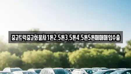 경상북도 안동시 금곡동 중고차 전문 중고트럭중고화물차1톤2.5톤3.5톤4.5톤5톤매매매입수출