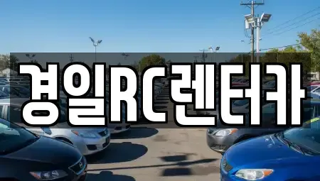 경상북도 영천시 도동 렌트카 전문 경일RC렌터카