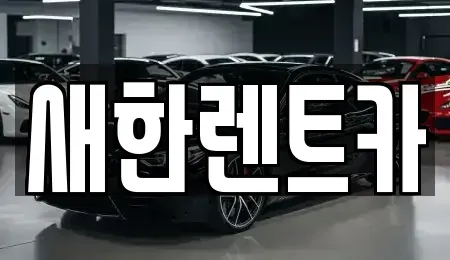 경상북도 영천시 도동 렌트카 전문 새한렌트카