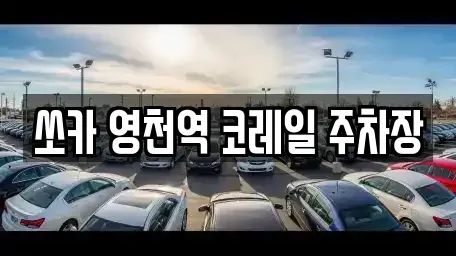 경상북도 영천시 도동 렌트카 전문 쏘카 영천역 코레일 주차장